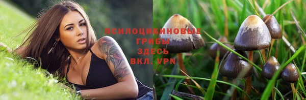 спайс Верея