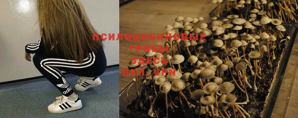 СК Бронницы