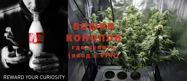 СК Бронницы