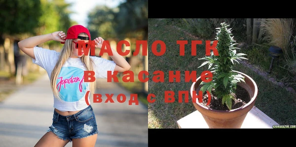 твердый Верхний Тагил