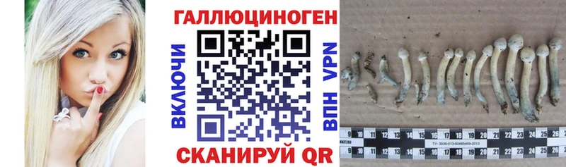 Галлюциногенные грибы Cubensis  купить наркоту  Тольятти 